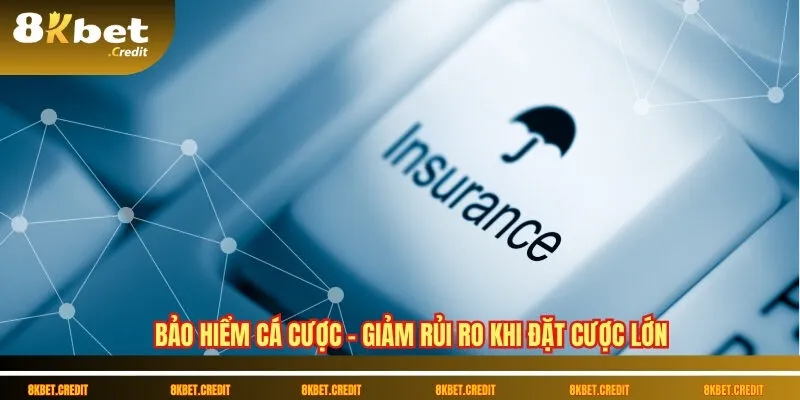 Bảo hiểm cá cược – Giảm rủi ro khi đặt cược lớn