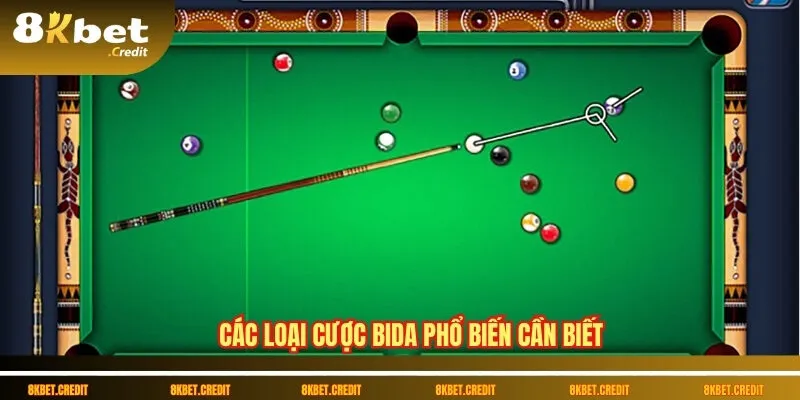 Cách thức cược bida an toàn, hiệu quả