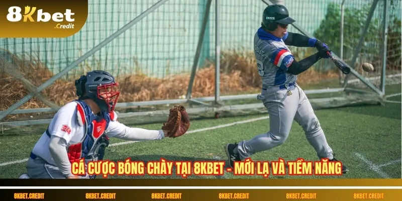 Cá cược bóng chày: Khám phá thế giới đặt cược đầy hấp dẫn 2 Cá cược bóng chày tại 8Kbet – Mới lạ và tiềm năng