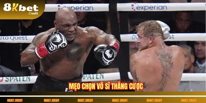 Cá cược boxing online – Thể thao đối kháng đầy kịch tính 3 Mẹo chọn võ sĩ thắng cược